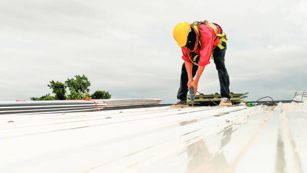 Best Chimney Flashing Repair  in Olney, IL